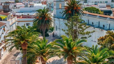 Apartment in Conil de la Frontera photo 22