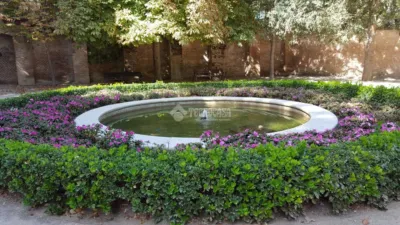 Apartment in Fuente del Berro photo 22