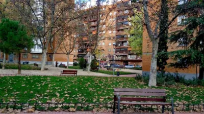 Apartment in Sur-Este photo 16