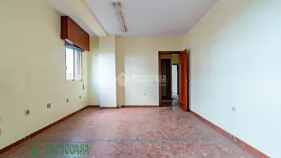Apartment in Barrio Sur photo 12