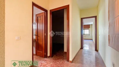 Apartment in Barrio Sur photo 15