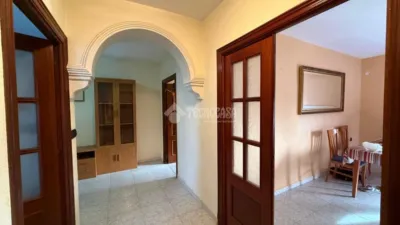 Apartment in La Carolina photo 14