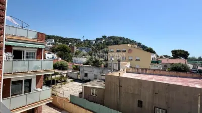Apartment in Bellamar photo 8