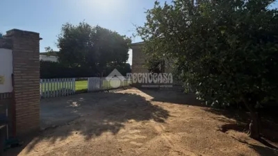 Rustic house in Don Rodrigo photo 2