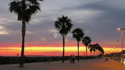 Apartment in Conil de la Frontera photo 18