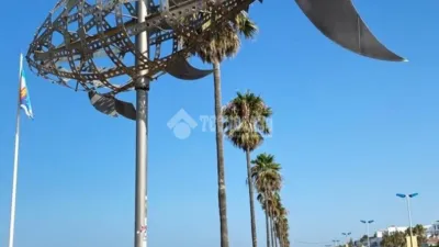 Apartment in Conil de la Frontera photo 28