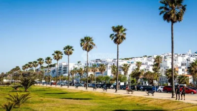 Apartment in Conil de la Frontera photo 14