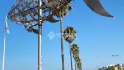 Piso en Conil de la Frontera photo 23