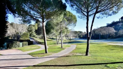 Apartment in El Bosque photo 24