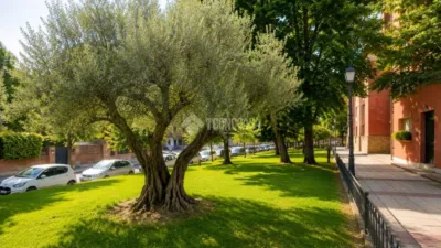 Apartment in El Bosque photo 16