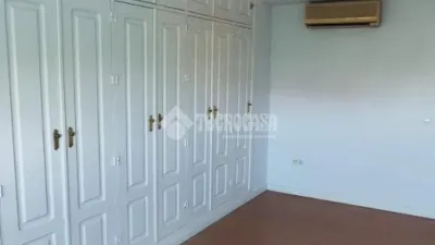 Apartment in La Palmera-Reina Mercedes photo 7