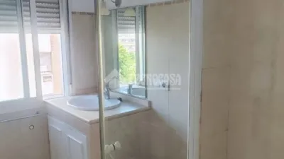 Apartment in La Palmera-Reina Mercedes photo 29