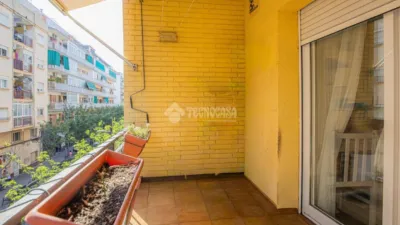 Apartment in Can Mas photo 4