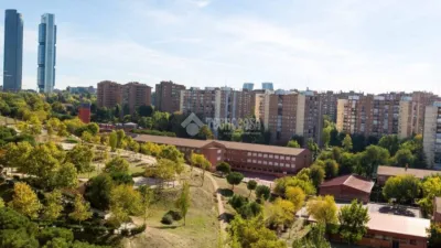 Flat in La Paz photo 15
