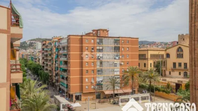 Apartment in Riu Nord-Riu Sud photo 31