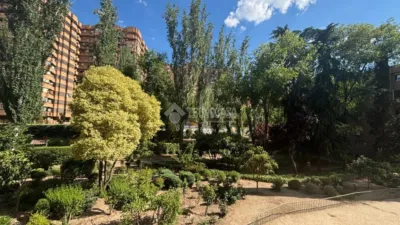Flat in La Paz photo 14