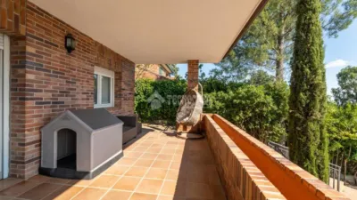 Detached House in Colonia photo 6