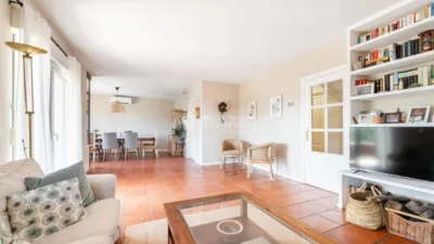 Detached House in Colonia photo 8