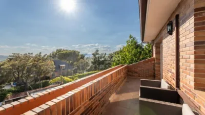 Detached House in Colonia photo 36