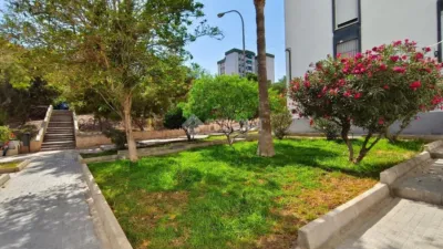 Piso – Alicante - Alacant - Más