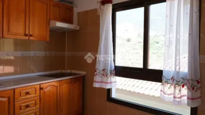Apartment in Los Realejos photo 4