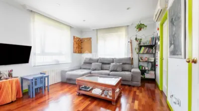 Apartment in Colonia photo 3