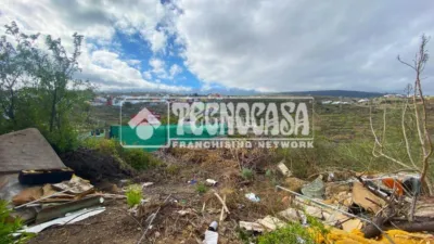 Rustic house in Fasnia photo 23