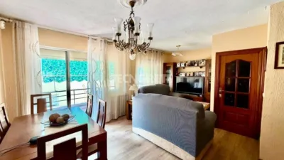 Apartment in Buenavista photo 3