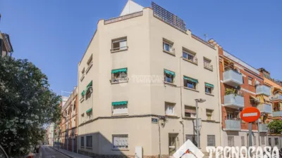 Apartment in La Torre-roja-Campreciós-Grup Sant Jordi photo 25