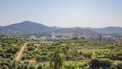 Apartment for sale in Sant Feliu de Llobregat photo 34
