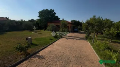 Detached house on Calle Río Tajo photo 17