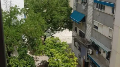 Apartment on Calle Gallega de la Moneda photo 15