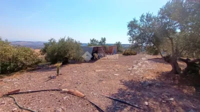Rustic house in Vilches photo 13