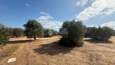 Rustic house on Calle Verde - Pago La Lavandera photo 8