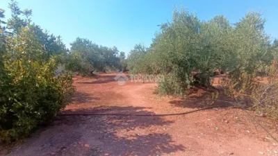 Rustic house in Vilches photo 17