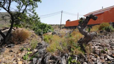 Rustic house in El Retamar photo 15