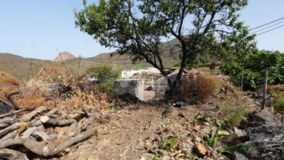 Rustic house in El Retamar photo 20