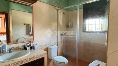 Single-family home in Carmona photo 8