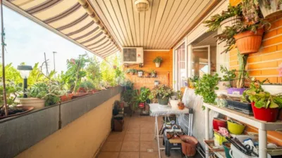 Apartment in Los Villares-Grupo Pinar photo 8