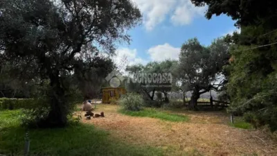 Single-family home in Carmona photo 14