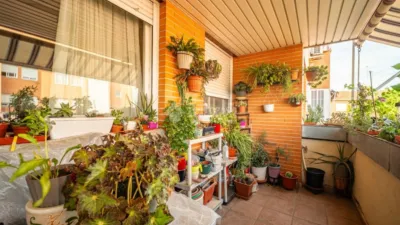Apartment in Los Villares-Grupo Pinar photo 7