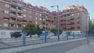 Apartment in Sur-Este photo 3