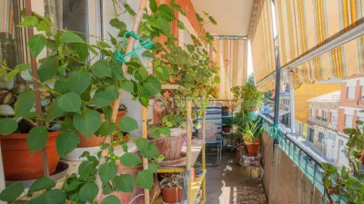 Apartment on Carrer de la Mare de Déu de Lourdes photo 10