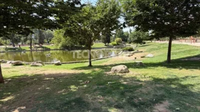 Flat in Campamento photo 18