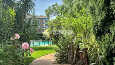 Apartment in Mirasierra-Arroyo del Fresno photo 3