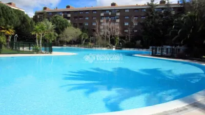 Apartment in Mirasierra-Arroyo del Fresno photo 2