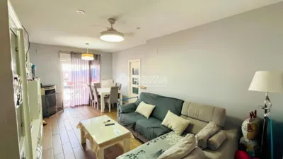 Apartment in Pedro Abad photo 5