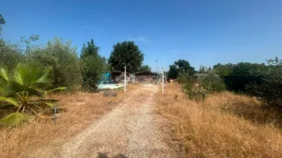Rustic house in Urbanización los Olivares, (Llano Verde) calle Irene photo 32