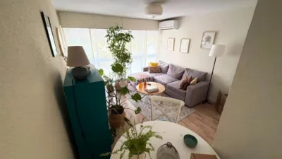 Apartment in Hellín photo 3