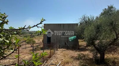Rustic house in Arcos de la Frontera photo 4